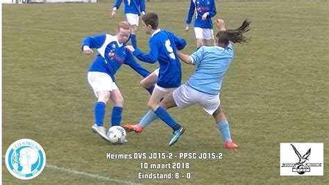 hermes dvs ppsc|Samenvatting Hermes DVS .